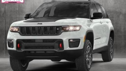 JEEP GRAND CHEROKEE 2022 1C4RJHDG3N8625446 image